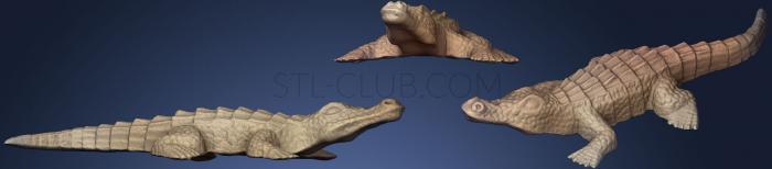 3D model Crocodile (STL)